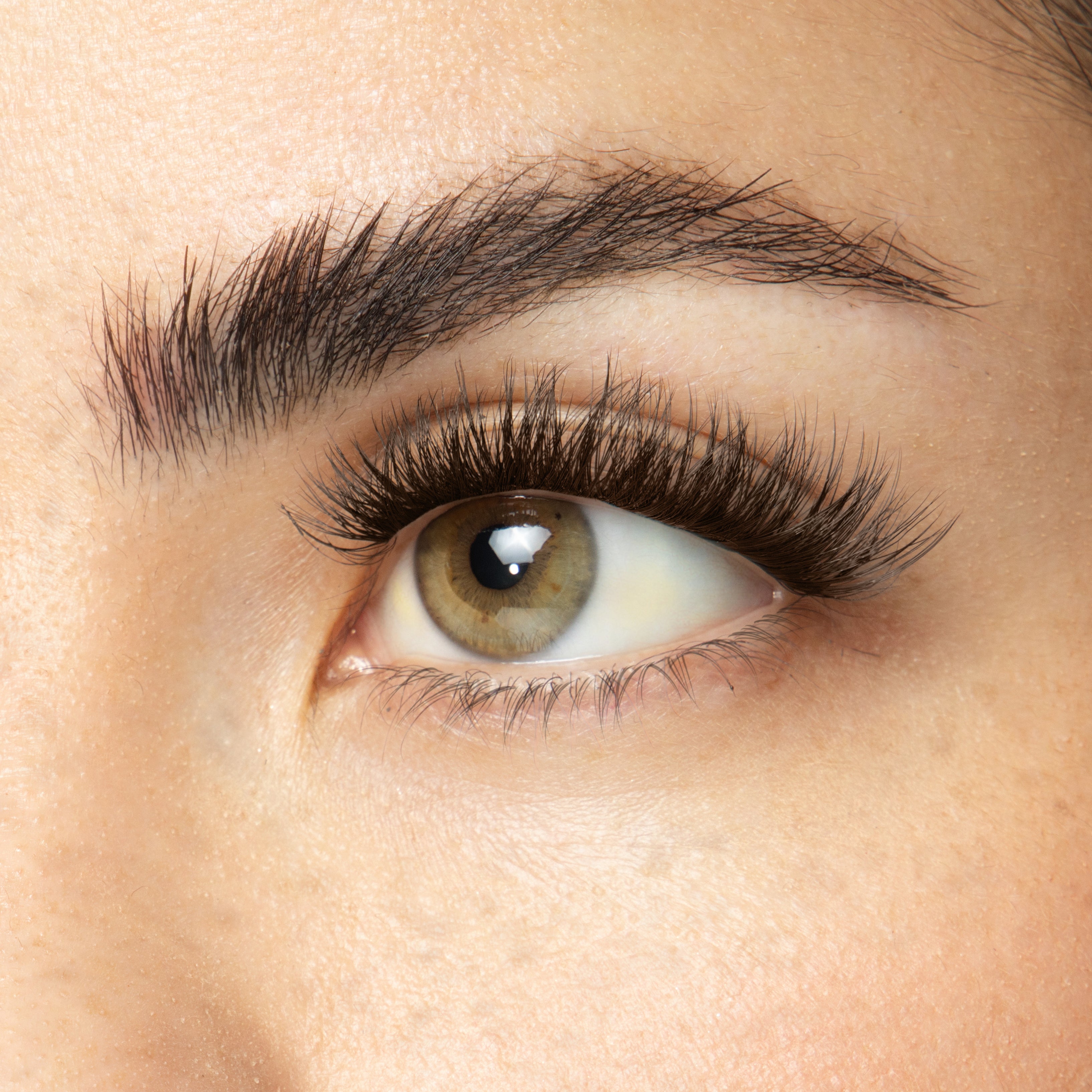 Velvet Gossamer® False Eyelashes with GripTex™ Technology - Natural Looking Lashes for Everyday Wear & Special Occasions