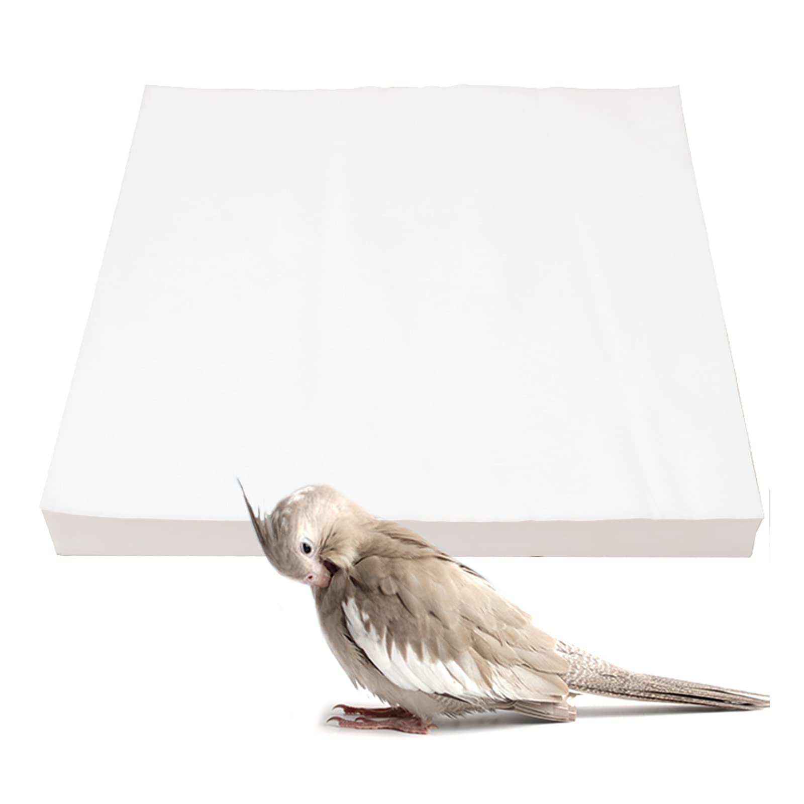 100 Pcs Non-Woven Bird Cage Liners 22x15cm - Absorbent Pet Cage Pads, Disposable Bird Cage Paper for Parakeets, Canaries, Finches - Perfect for Easy Cleanup & Cage Maintenance
