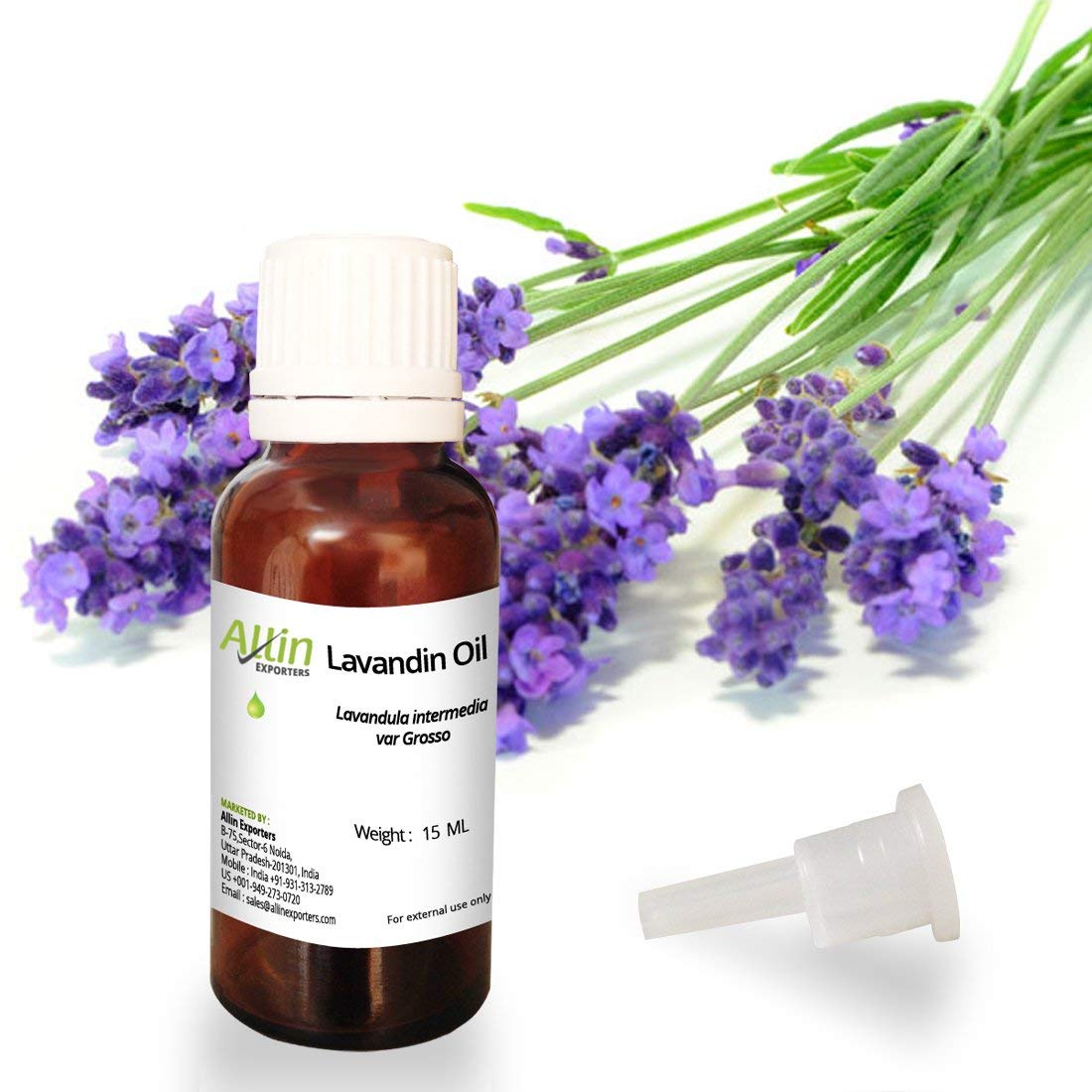 Allin Exporters Lavandin Essential Oil - 100% Pure Natural Undiluted Aromatherapy Oil - 15ml Bottle for Diffusers, Massage & Relaxation