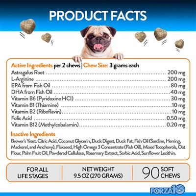 Forza10 Renal Support Supplement Chews for Dogs - Kidney Health Dog Treats with Natural Ingredients - Supports Urinary & Digestive Health - Ideal for Senior Dogs & Pets with Kidney Issues