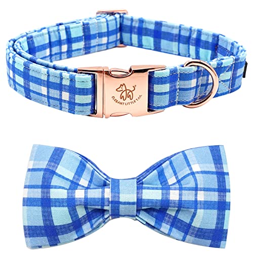 Blue Plaid