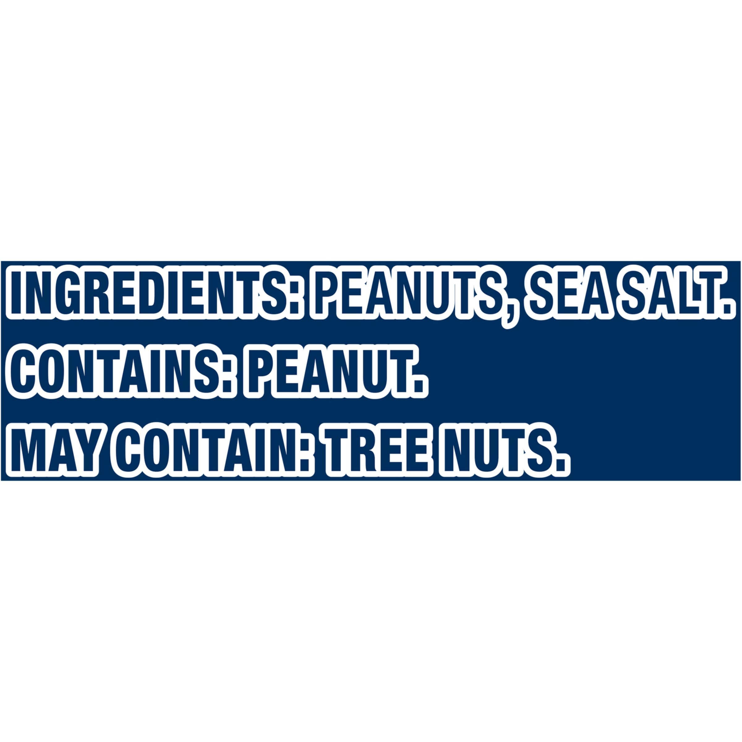 Dry Roasted Peanuts Lightly Salted - Planters 16oz (Pack of 1) | Healthy Snack for Office, Travel & Movie Nights