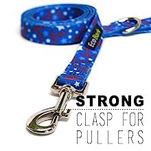 **EcoBark Reflective Dog Leash - Soft Padded Handle, Heavy Duty Training Leash for Small, Medium & Large Dogs - Durable & Comfortable for Walking, Running & Outdoor Adventures (Nautical Blue)**
