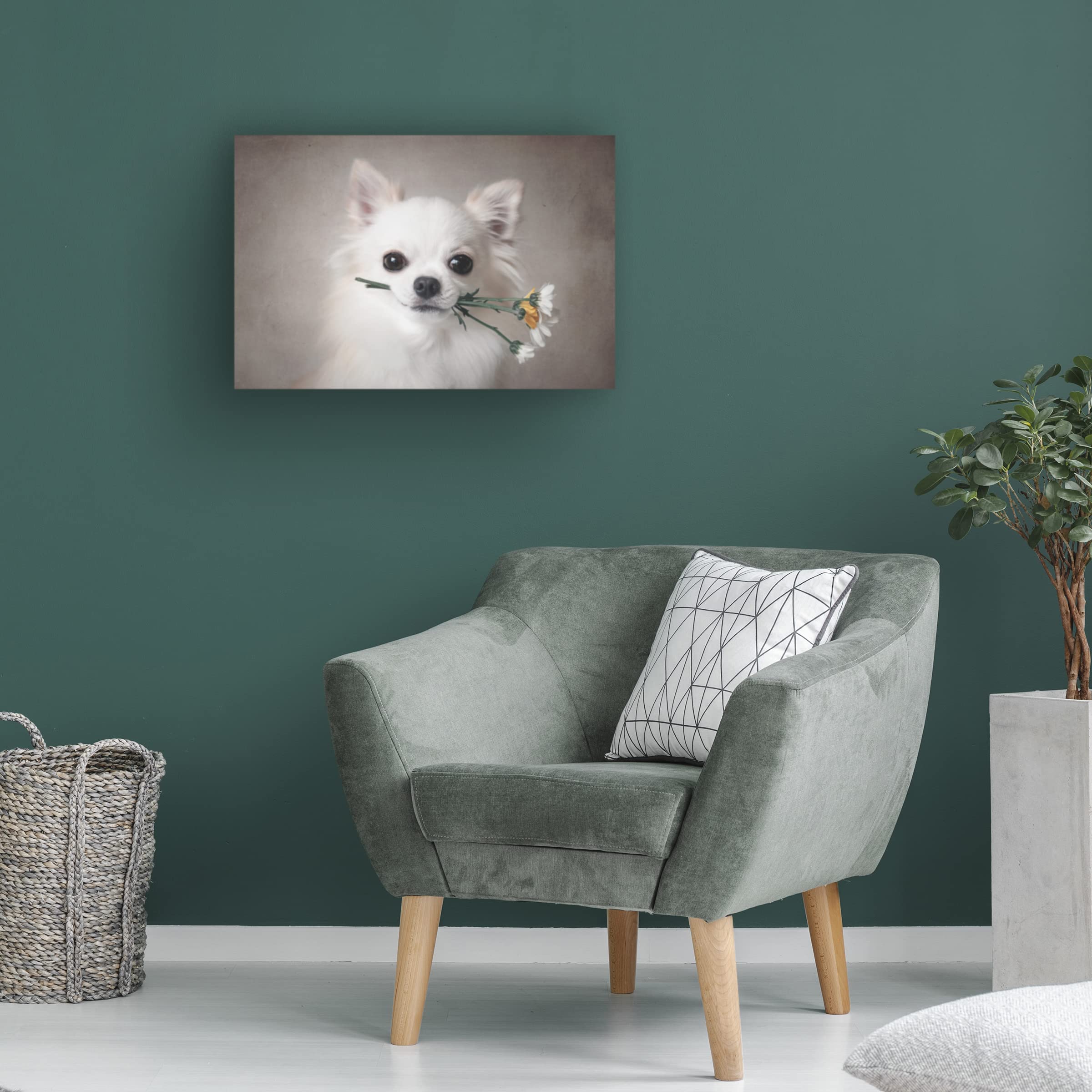 Trademark Fine Art 'Chihuahua With Flowers' Canvas Wall Art Print by Lienjp - Perfect for Living Room, Bedroom & Office Decor