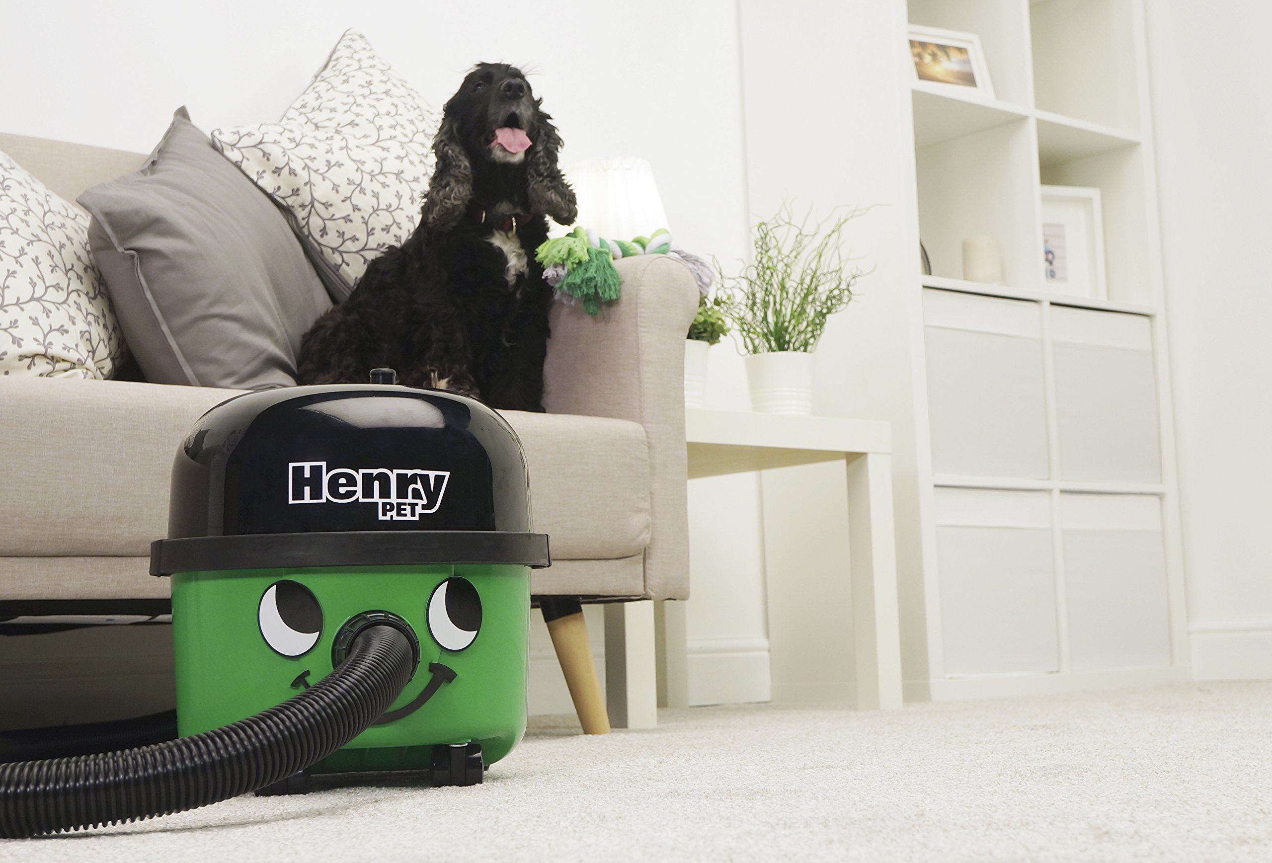 Henry PET200 9L 620W Green Bagged Cylinder Vacuum Cleaner for Pet Hair - Powerful Suction for Carpets, Hard Floors & Upholstery Cleaning