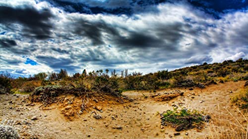Barren Hill