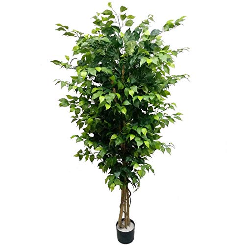 6ft Artificial Ficus Tree with 1512 Silk Leaves in Black Pot - Realistic Indoor/Outdoor Faux Plant for Home, Kitchen, Office & Room Decor - Perfect for Living Room, Bedroom, Patio and Commercial Spaces
