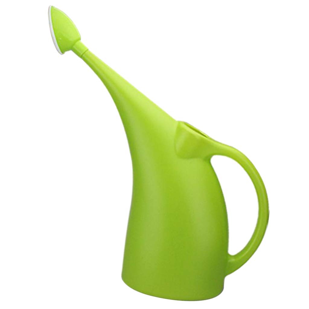 Baoblaze 2L or 3L Reusable Water Bottle - BPA Free, Leak Proof, Eco Friendly Plastic Bottle with Straw Lid - Perfect for Gym, Hiking, Travel & Everyday Use (3L Green with Rose)
