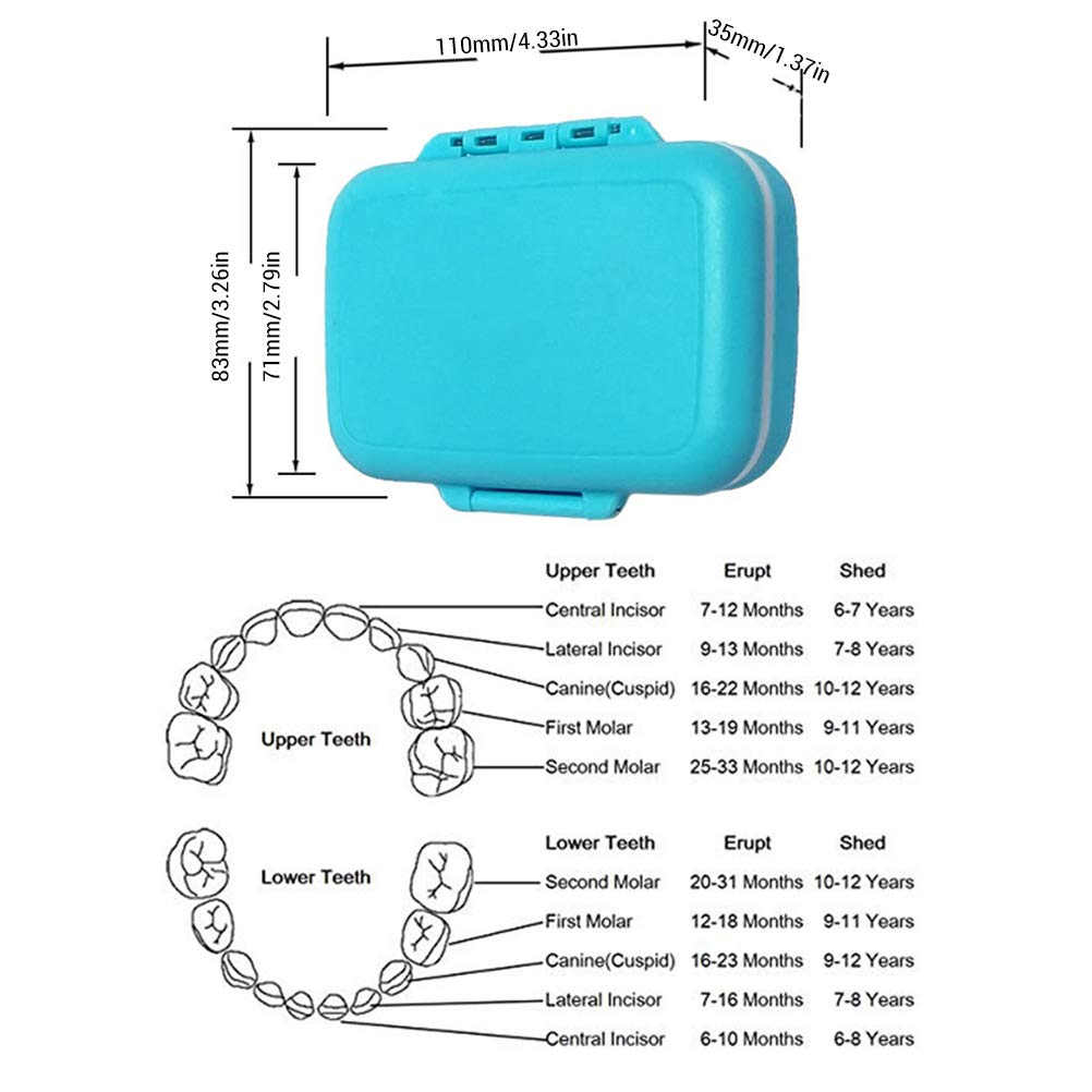 Baby Teeth Keepsake Box - Cute Purple Tooth Fairy Container for Lost Teeth Storage | First Tooth Organizer & Memory Box for Kids | Perfect for Tooth Fairy Visits & Childhood Memorabilia