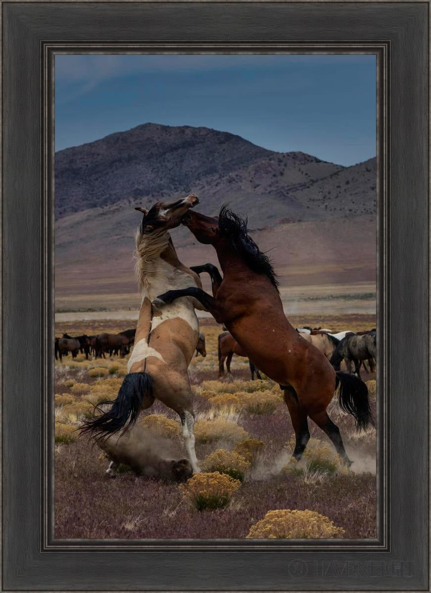 Desert Duel 1 by Greg Sargent - Western Adventure Novel for Adults | Perfect for Book Clubs, Gifts & Western Fiction Fans