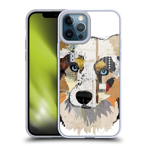 Australian Shepherd