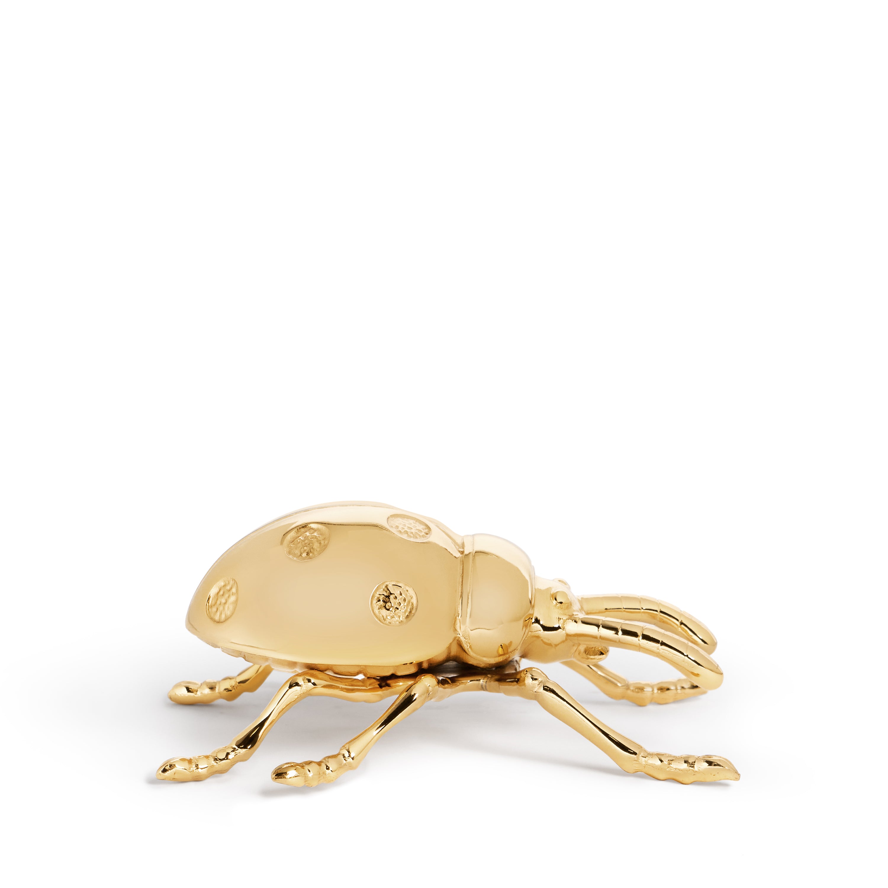 Stainless Steel Ladybug Bottle Opener - Cute Kitchen Tool for Beer, Soda & Home Bar Accessories | Perfect for Parties, BBQs & Outdoor Gatherings