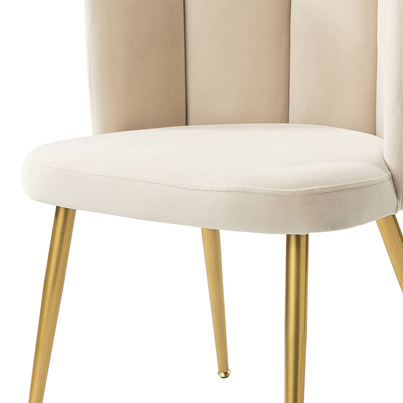 Elodia Side Chair - Modern Accent Chair for Dining Room, Living Room & Office - Sturdy Wooden Frame with Upholstered Seat - Perfect for Home Decor & Small Spaces