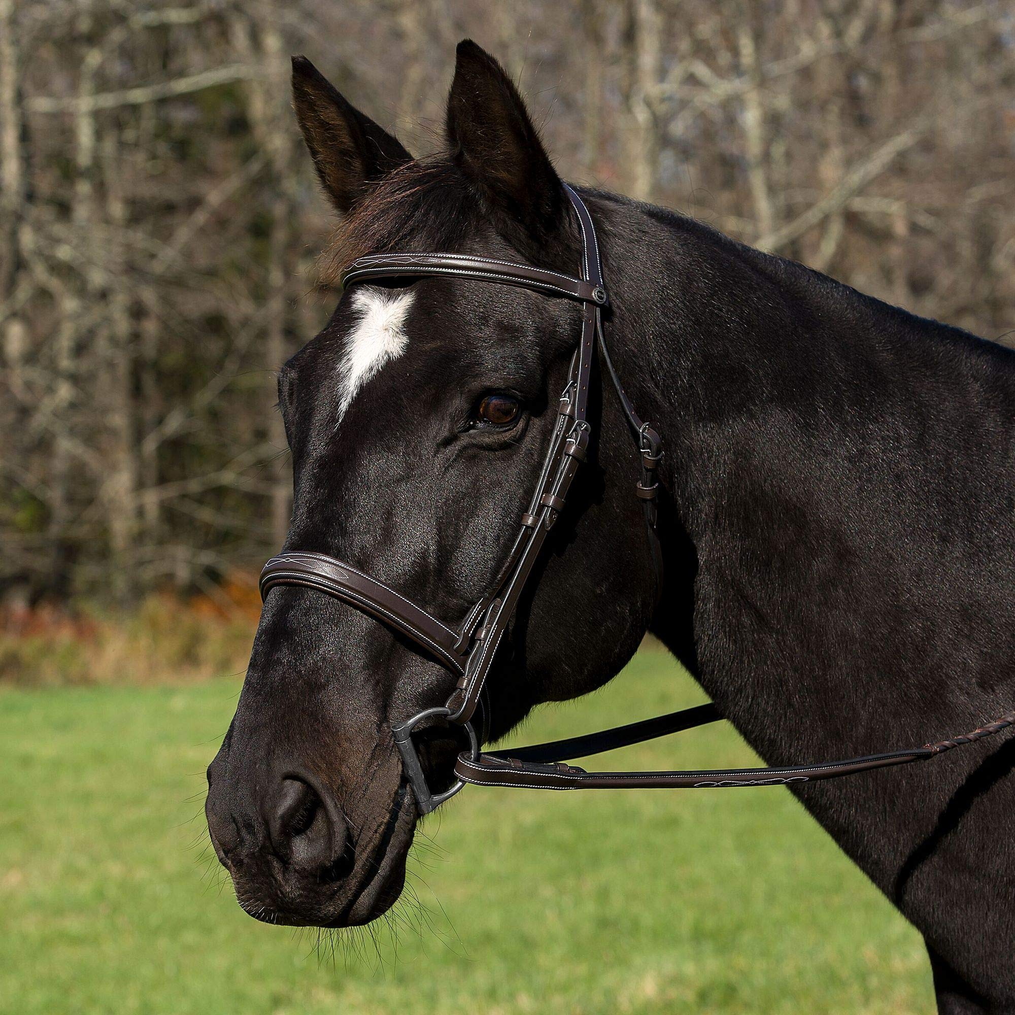 Henri de Rivel Mono Crown Bridle with Padded Wide Noseband - Premium Equestrian Horse Riding Equipment for Dressage & Jumping | Comfortable Fit for Training & Competition
