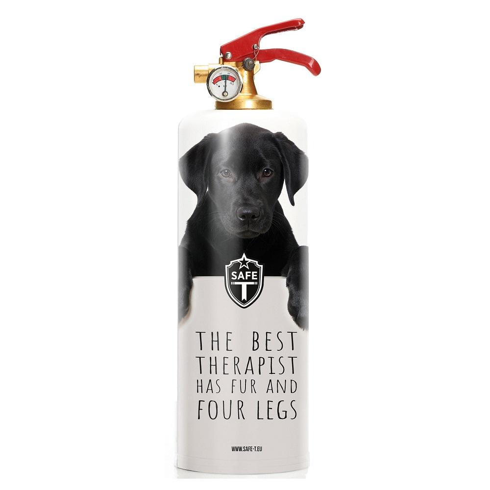 Dog Fire Extinguisher - Pet Safety Fire Extinguisher for Home & Car - Emergency Fire Protection for Dogs | Perfect for Pet Owners, Travel & Home Safety