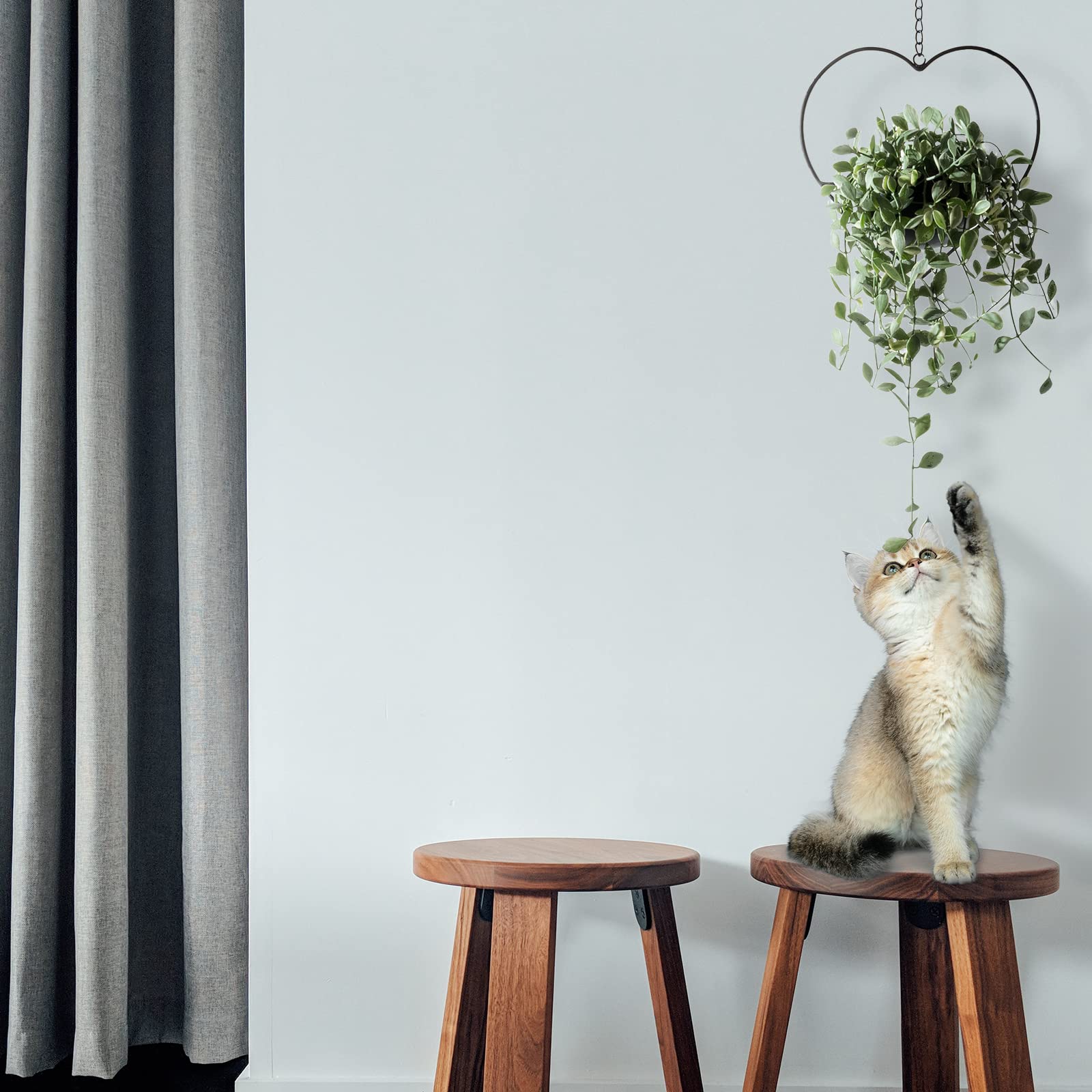 Boho Heart Shaped Hanging Plant Holder - 2 Pack with 6
