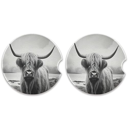 Funny Scottish Highland Cow