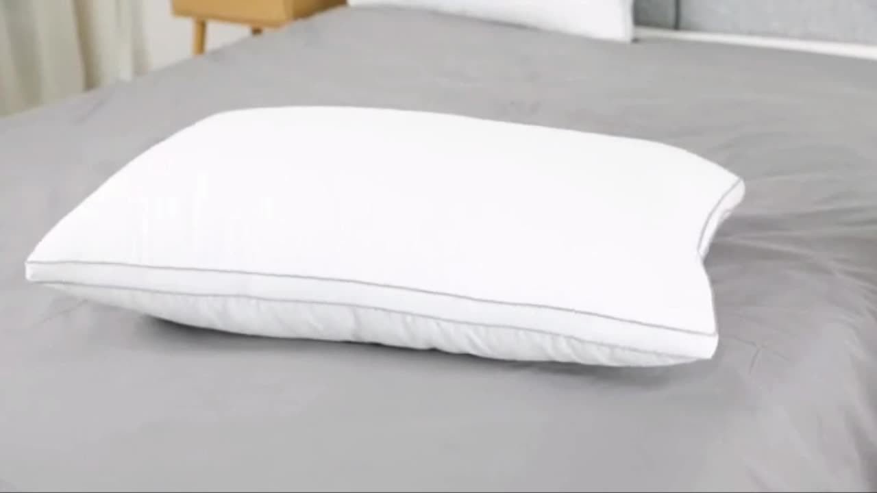 2 Pack King Size Pillows with 2 Free Pillowcases - Ultra Soft Bed Pillows for Side, Back & Stomach Sleepers - Luxury Hotel Quality Pillow Set for Bedroom, Guest Room & Dorm