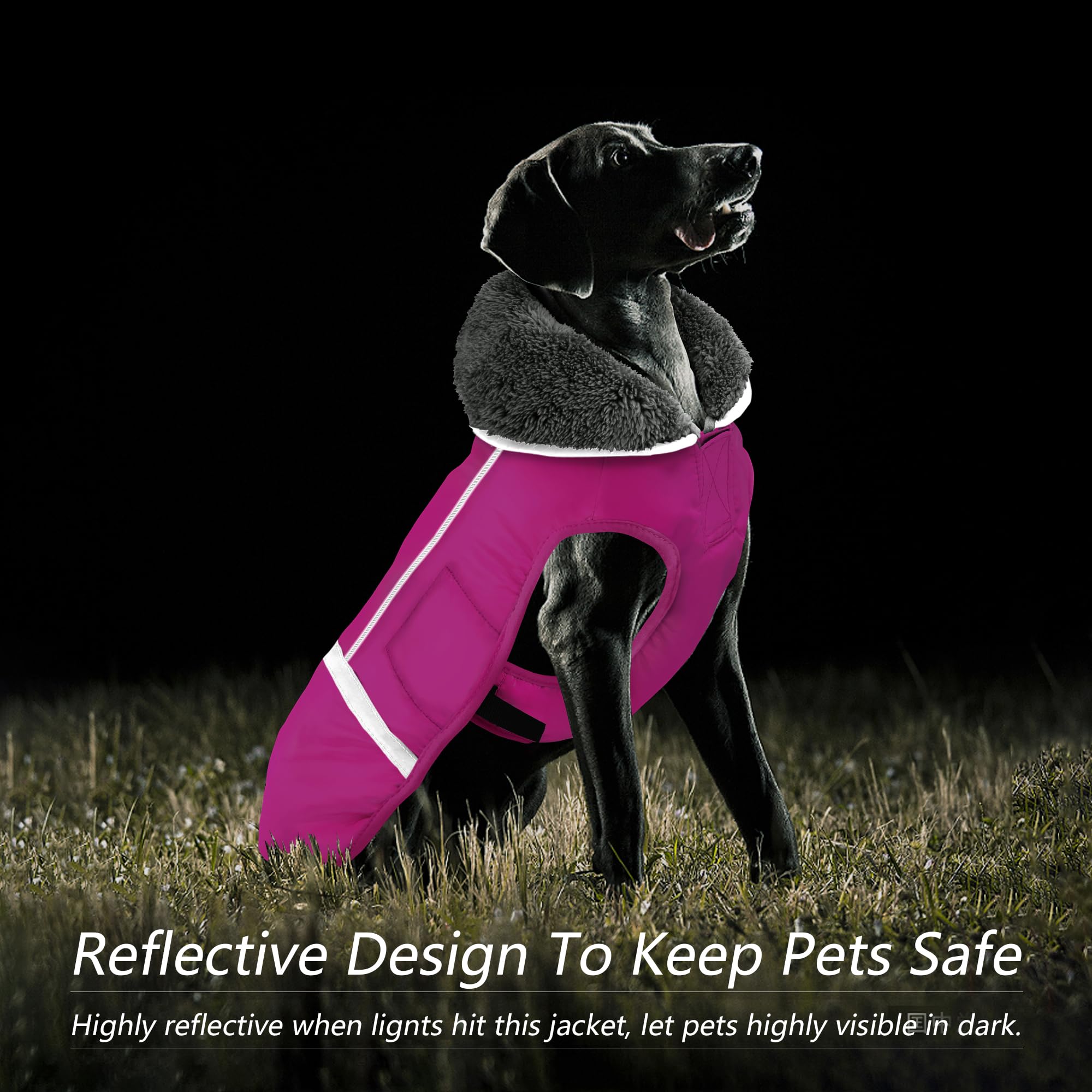 Dogcheer Warm Fleece Dog Coat with Reflective Collar - Waterproof Windproof Winter Jacket for Small Medium Large & X-Large Dogs - Perfect for Cold Weather Walks, Snow Play & Outdoor Adventures
