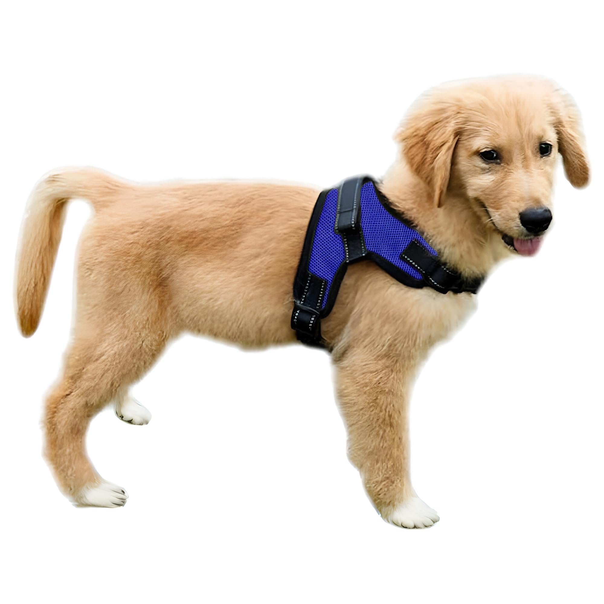 No Pull Reflective Adjustable Dog Harness with Handle - Comfortable Soft All-Weather Mesh Vest for Small Medium Large Dogs - Easy On Puppy Harness for Walking Running Hiking Training (Blue, XX-Small)