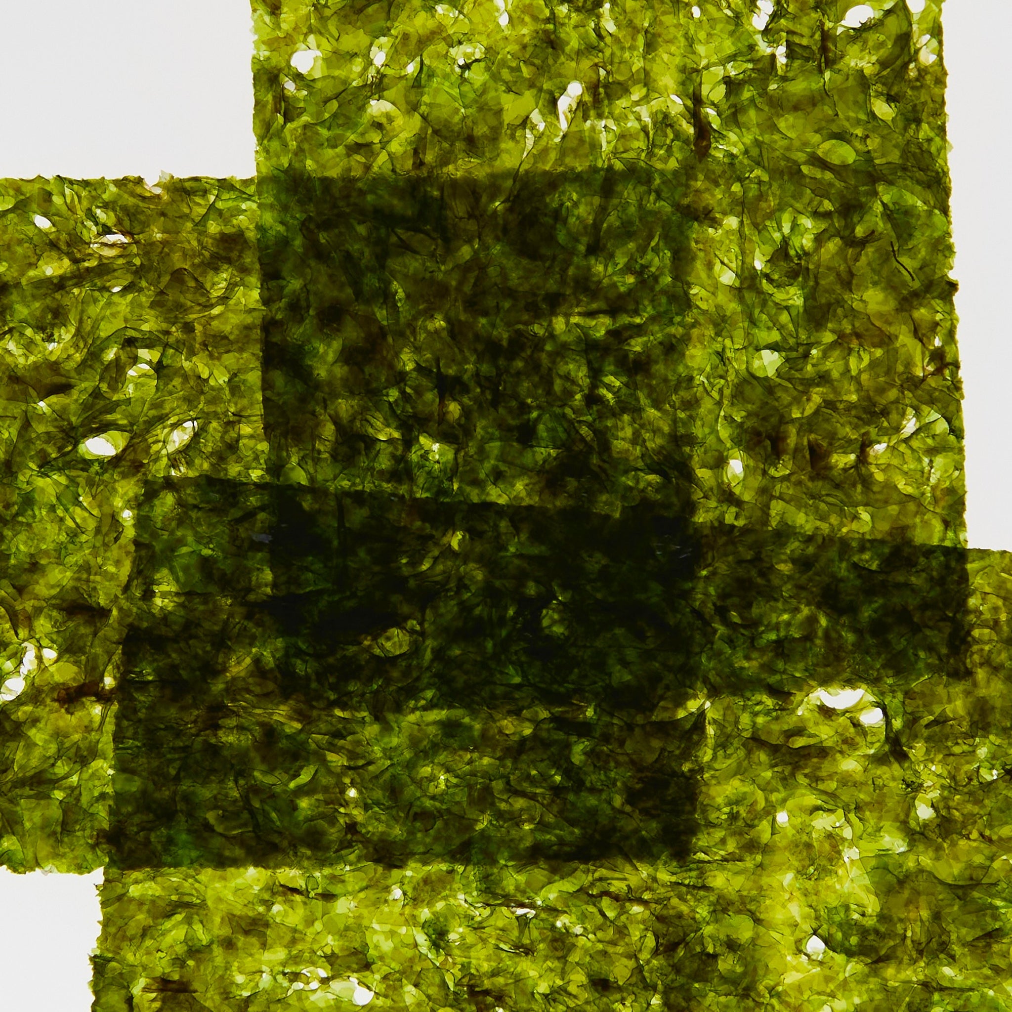 Abel Cyan Nori Seaweed Snacks - Organic, Vegan, Gluten-Free - Perfect for Healthy Snacking, On-the-Go Energy & Asian Cuisine