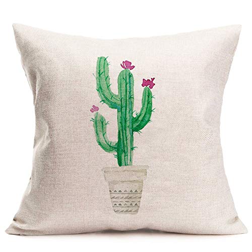 Purple Cactus
