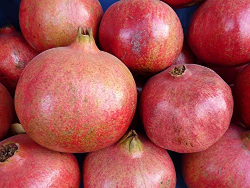 Healthy Pomegranate Fruit Poster - 12x18 Inch Laminated Wall Art with Vibrant Colors & Vivid Imagery - Perfect for Kitchen Decor, Dining Room, or Healthy Lifestyle Inspiration