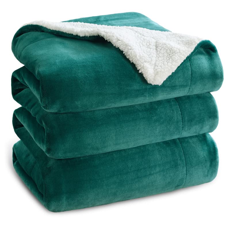 04 - Forest Green
