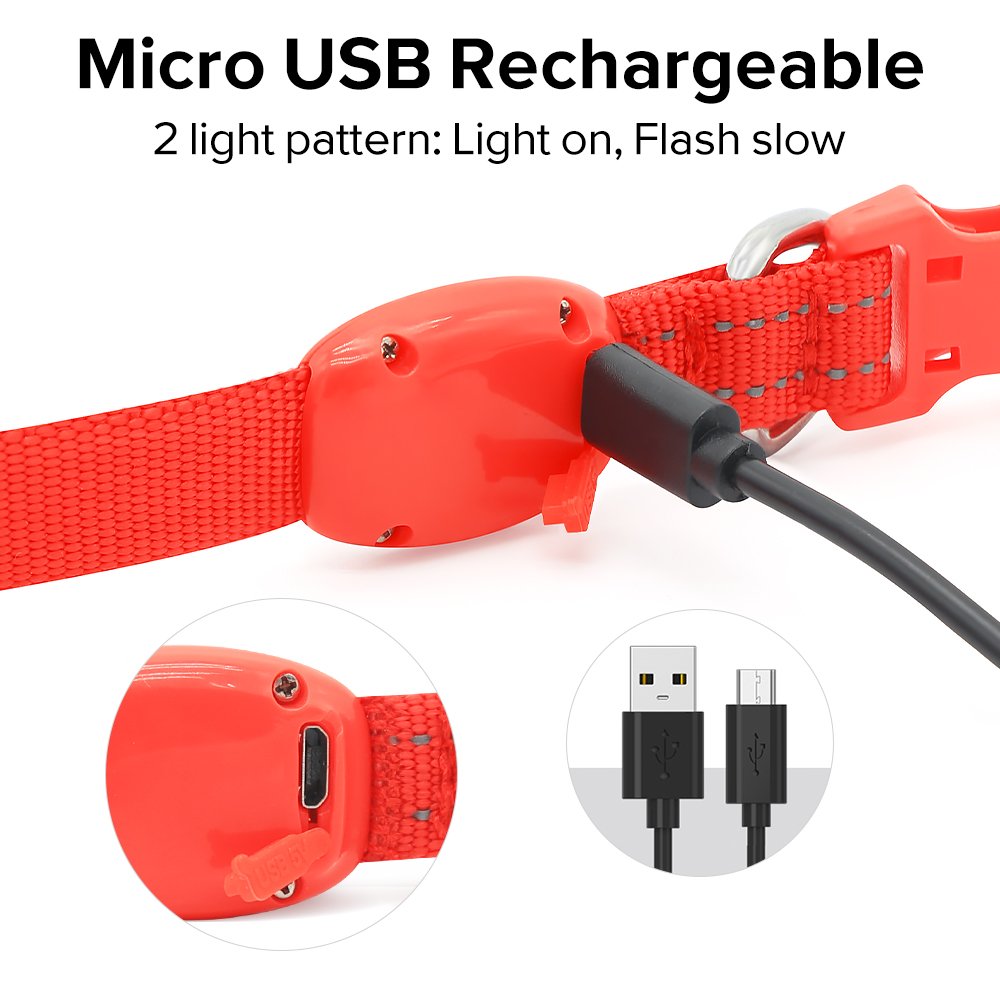 Candofly Rechargeable LED Dog Collar with Safety Light - Waterproof Reflective Collar for Night Walking, Camping, Hiking (X-Small, Red) - Perfect for Evening Dog Walks & Outdoor Adventures