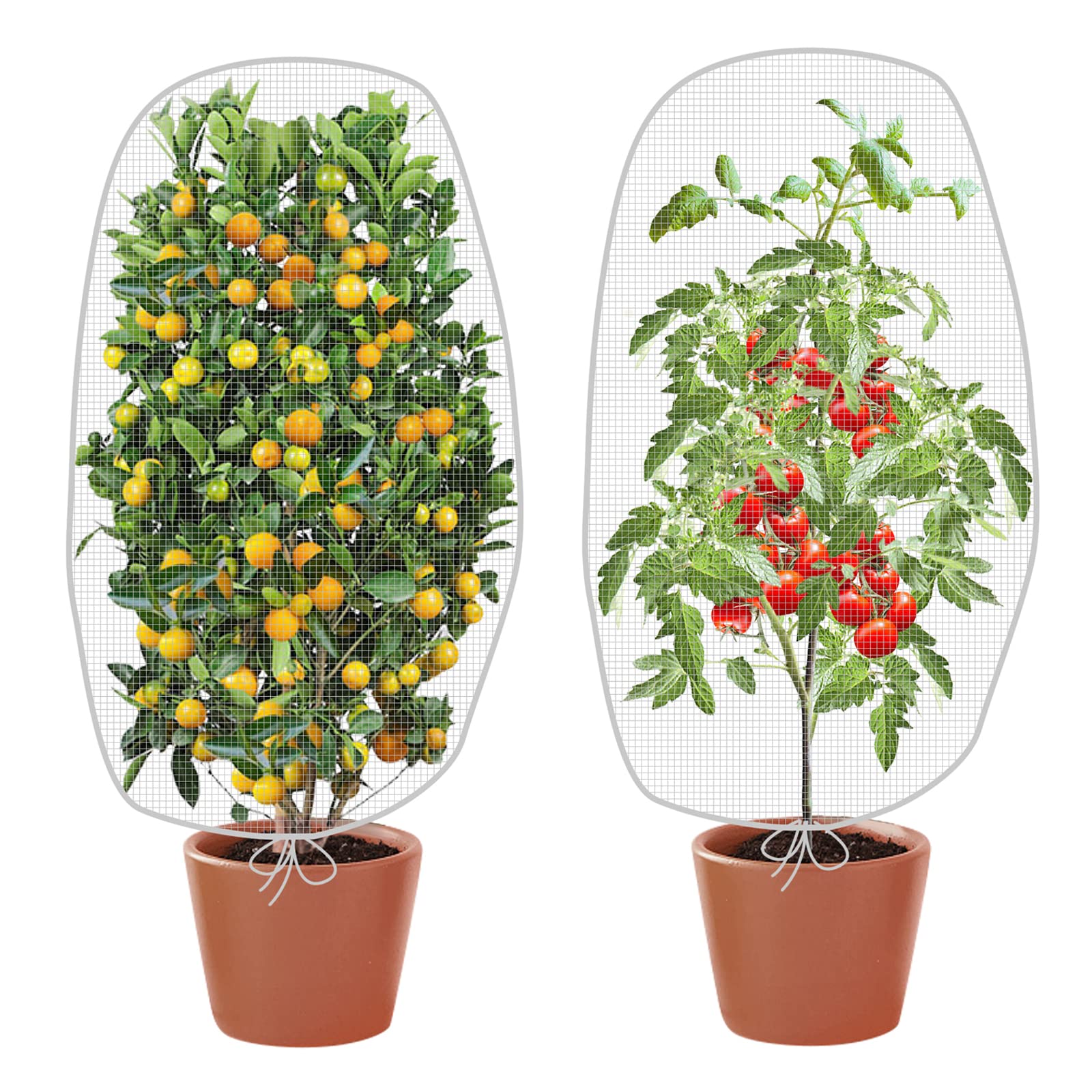 Alpurple 2-Pack Garden Plant Protection Netting Bags - 4.6 x 3.9 Ft Reusable Drawstring Mesh Covers for Fruit Trees, Tomato Plants, Citrus & Flowers - Bird & Insect Barrier for Outdoor Gardening, Backyard Orchard Protection