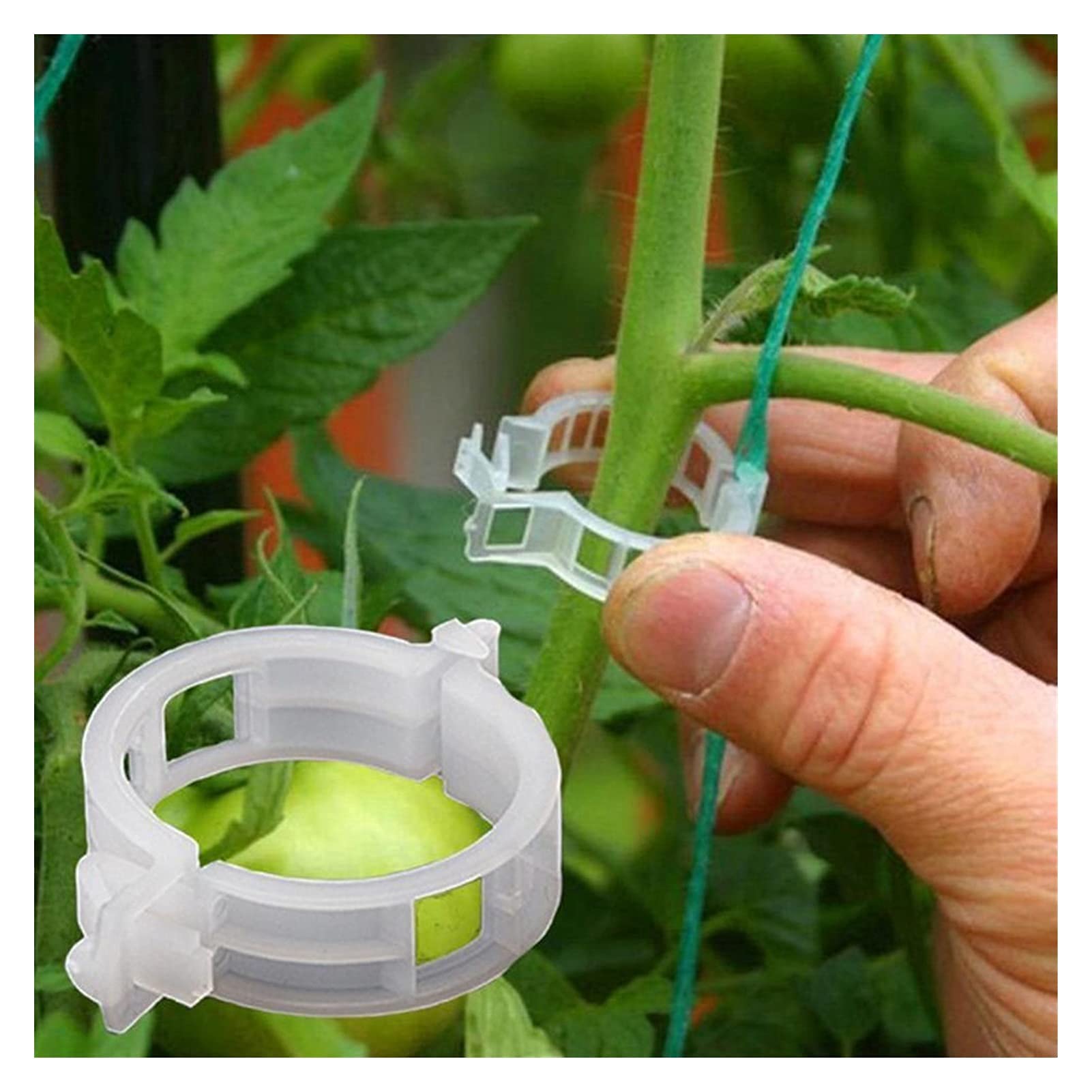 Durable Reusable 25mm Plastic Plant Support Clips - 100Pcs for Hanging Vines, Tomatoes, Greenhouse Vegetables | Garden Plant Clamps for Indoor & Outdoor Gardening