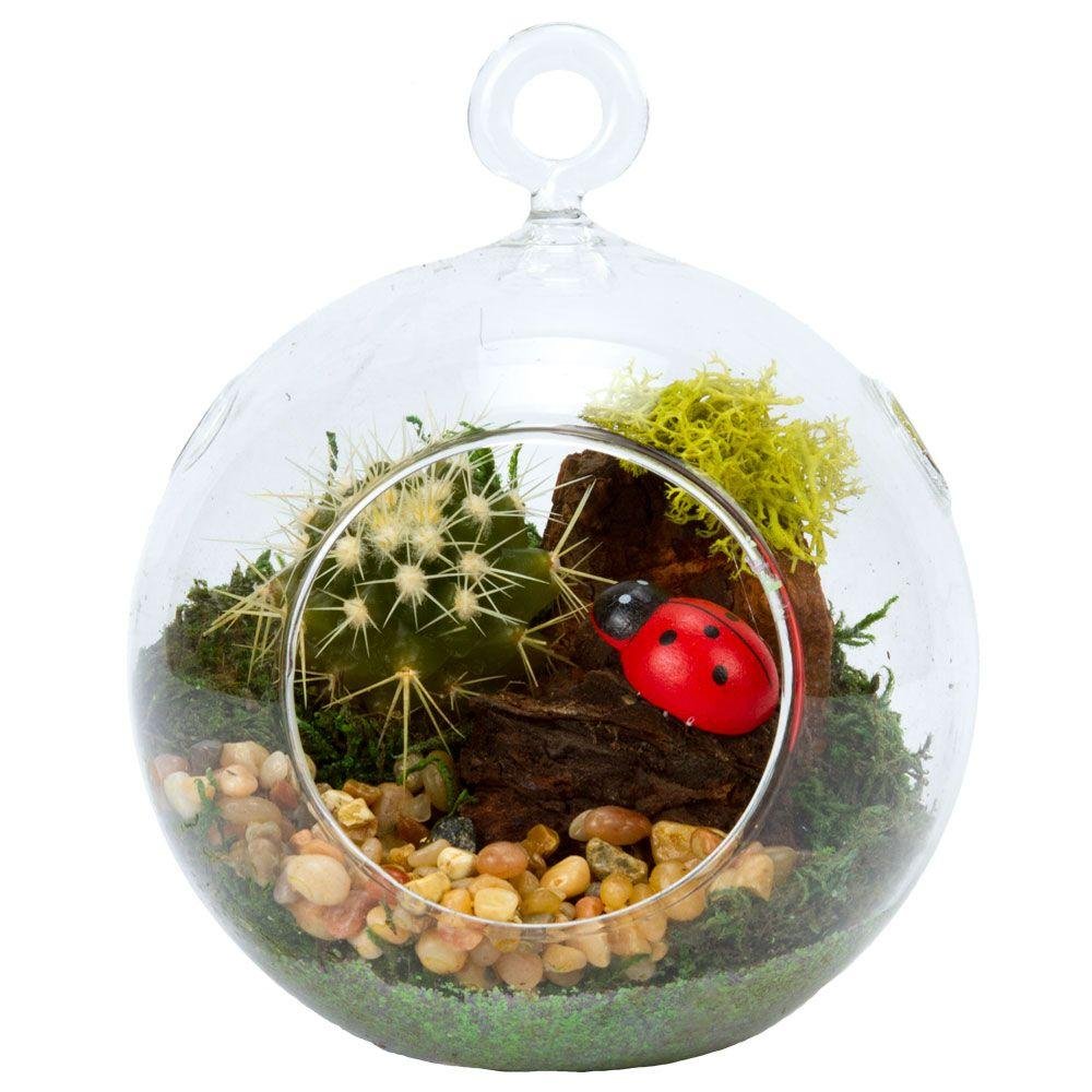 2 Pack Clear Plastic Terrarium Globes - Shatter-Proof DIY Plant Terrarium Kit for Home Decor, Mini Garden & Succulent Display - Perfect for Indoor Plants, Fairy Gardens, and Office Desk Decorations