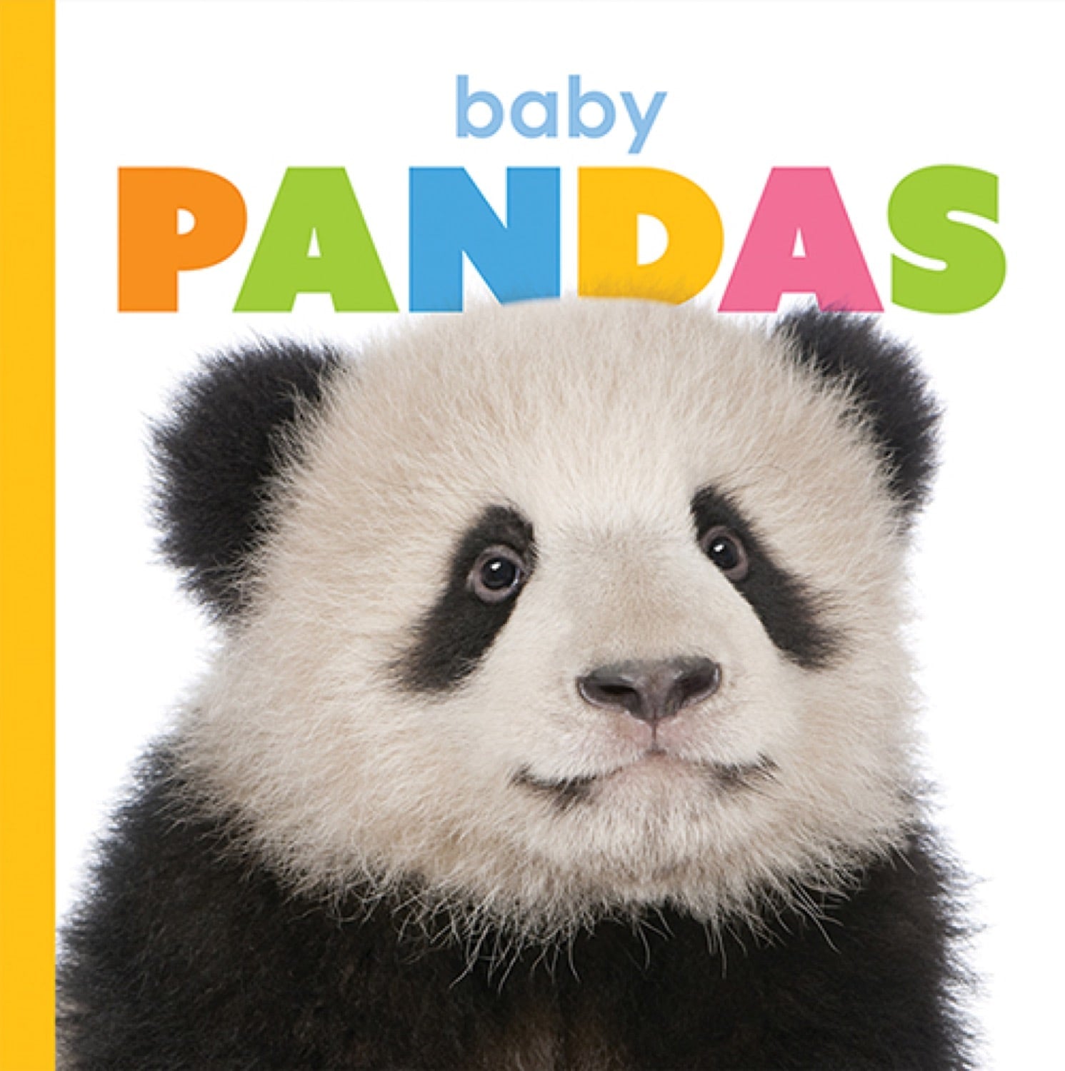 Baby Pandas Book - ISBN 978-1-64026-250-8 | Cute Panda Story for Kids, Children's Educational Animal Book | Perfect for Bedtime Reading & Classroom Learning