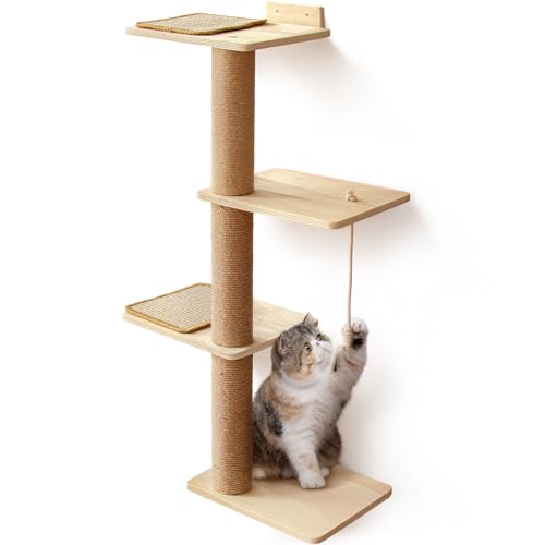 Cat Scratching Activity Tree
