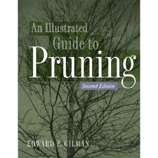 Pruning Illustrated Guide 2nd Edition - Essential Techniques for Tree & Shrub Care | Perfect for Gardeners & Landscapers