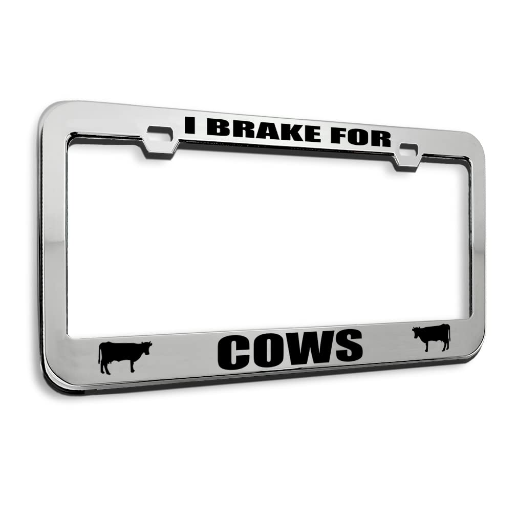 Speedy Pros Metal License Plate Frame - Chrome Tag Border with 2 Holes | Durable Car Accessories for Vehicles & Trucks | Perfect for Road Trips, Car Shows & Customization