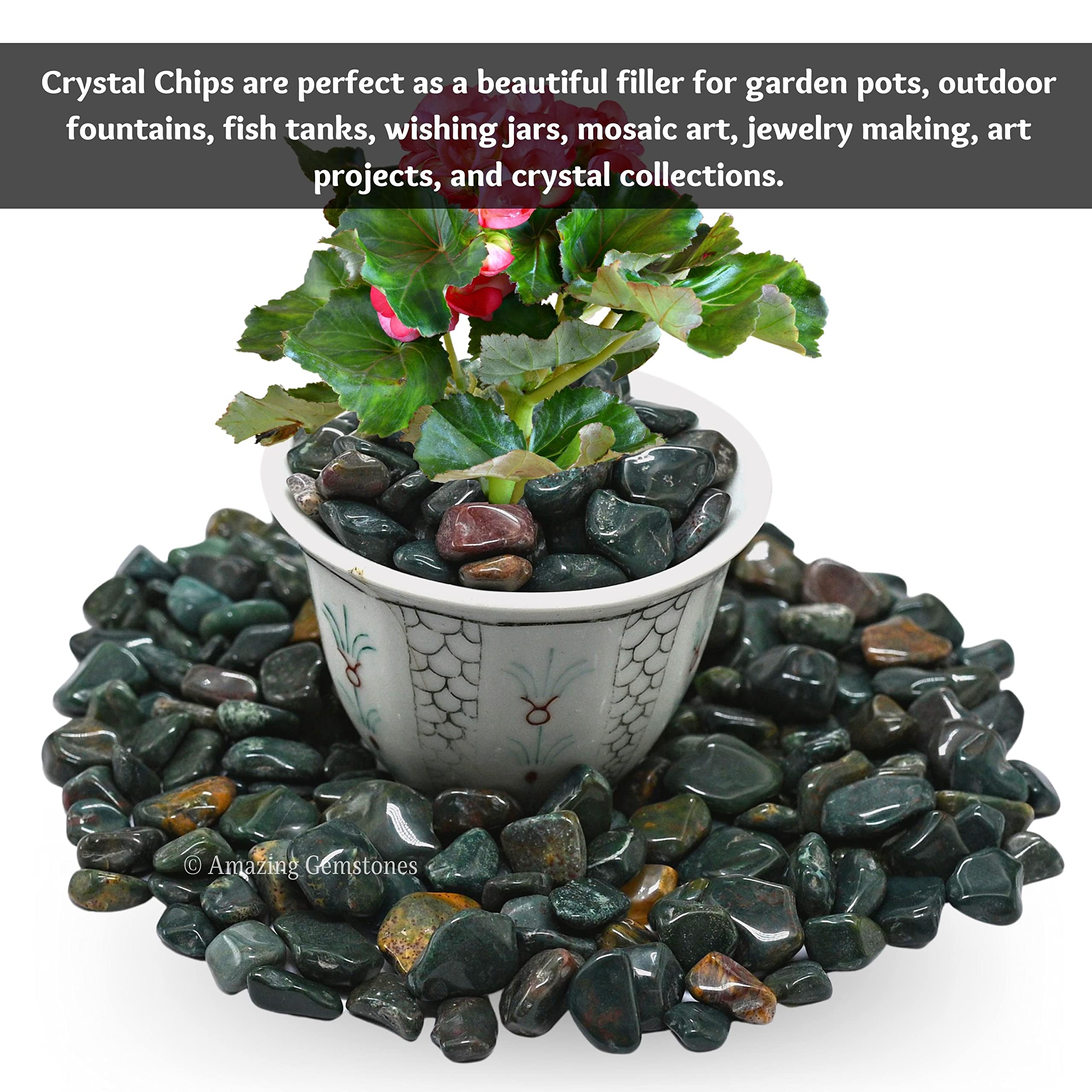 Natural AAA Grade Bloodstone Crystal Chips - 1000+ Carat Bulk Aquarium Gravel Rocks for Fish Tank Decoration | Small Tumbled Stone Chips & Tiny Crystals | Perfect for Home Aquascaping, Zen Gardens, and Crystal Healing Displays