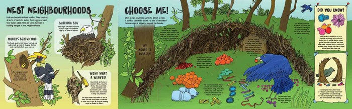 Lonely Planet Kids - How Animals Build Lift-The-Flap Book by Moira Butterfield & Tim Hutchinson | Hardcover Educational Children's Book | Perfect for Bedtime Stories & Classroom Learning