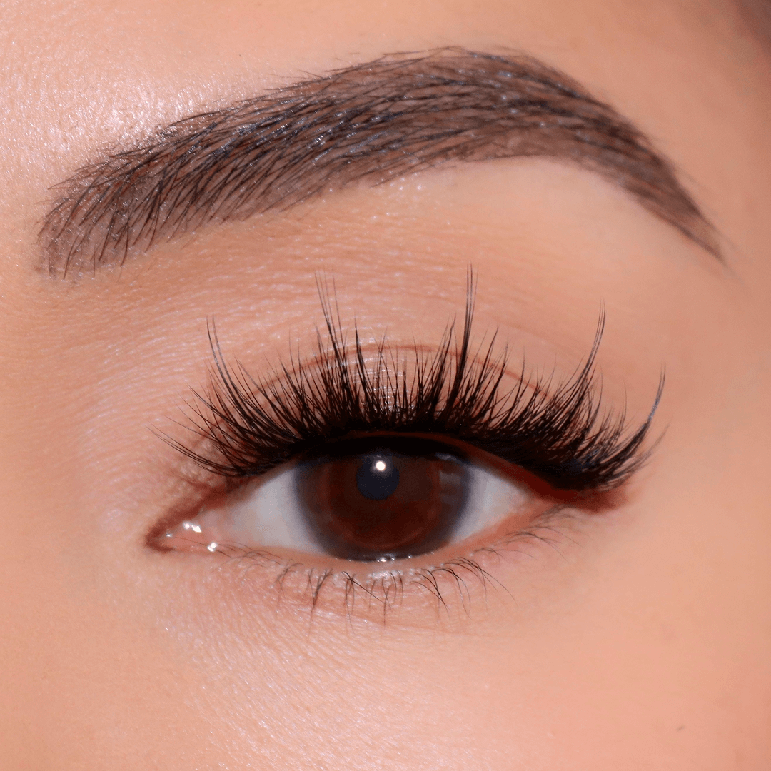 Professional Curated Eyelash Extension Kit - Natural & Dramatic Looks for Every Occasion | Perfect for Bridal, Party & Everyday Wear