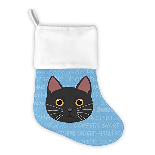 Domestic Short Hair - Black