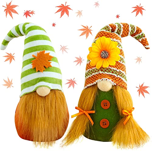 Harvest Gnome B