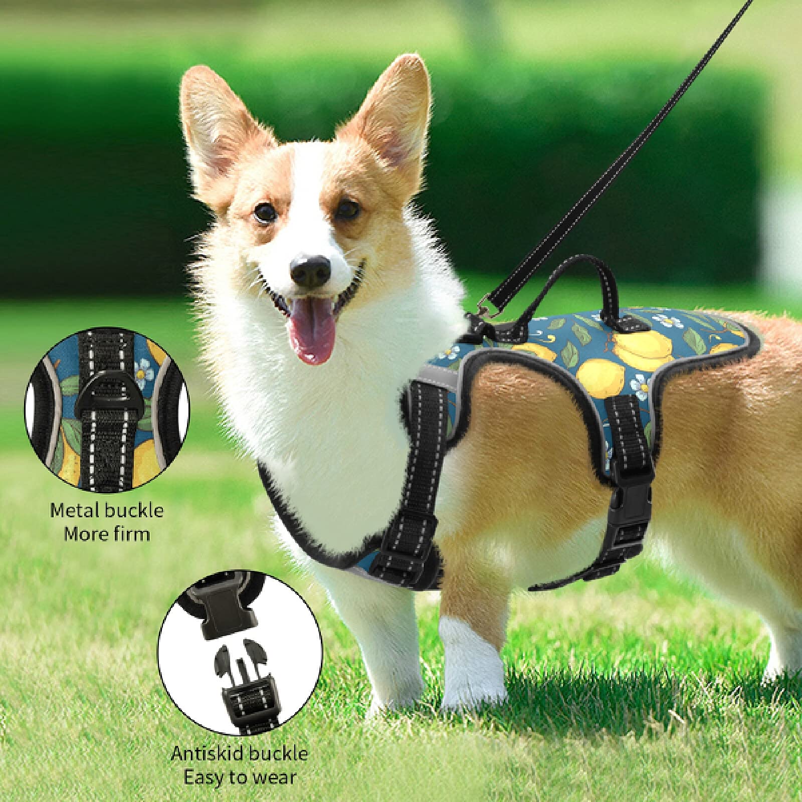 Xigua No-Pull Reflective Dog Harness with Handle - Breathable Pet Vest for Small & Medium Dogs - Perfect for Walking, Running & Outdoor Adventures