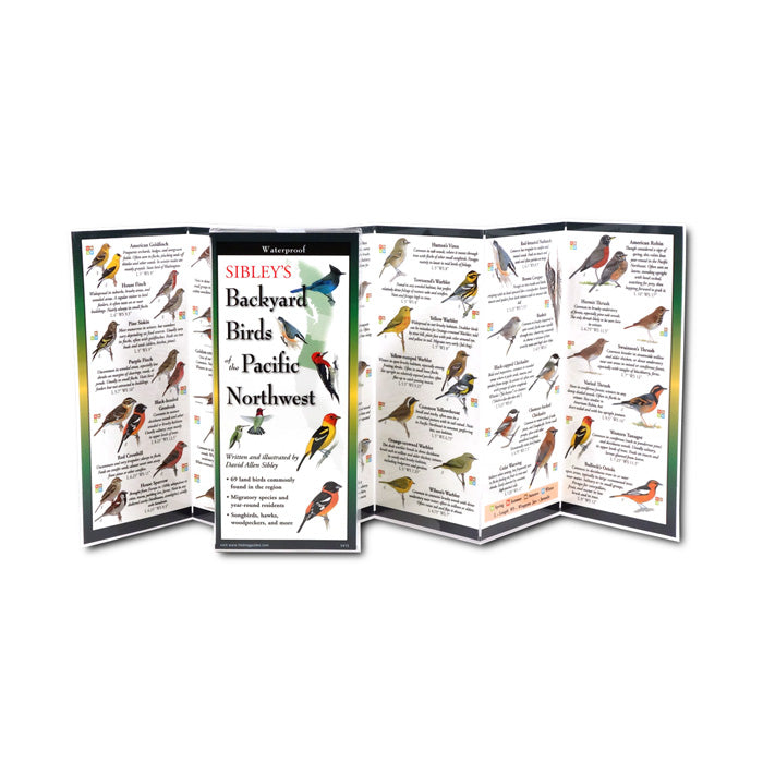 Sibley's Backyard Birds of the Pacific Northwest - Waterproof Folding Field Guide for Bird Watching, Hiking & Outdoor Activities