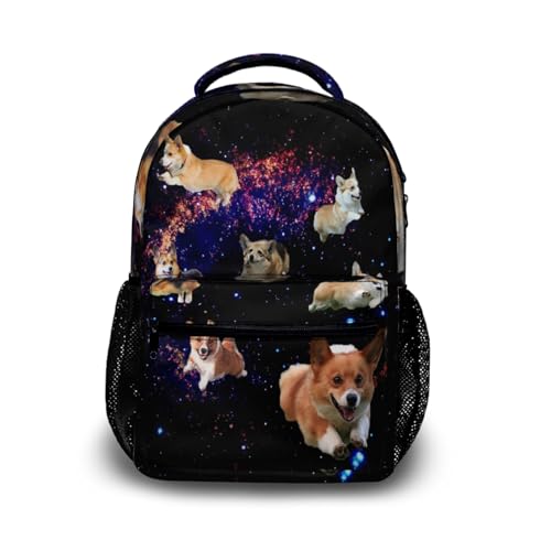 Galaxy Welsh Corgis