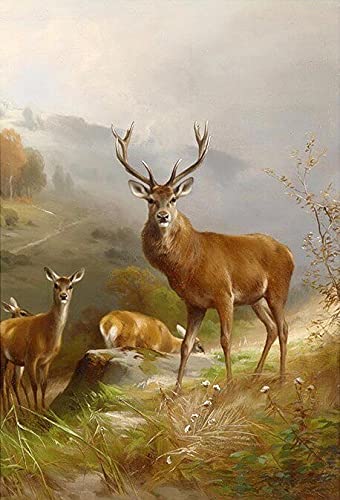 Deer - 2 Sheets