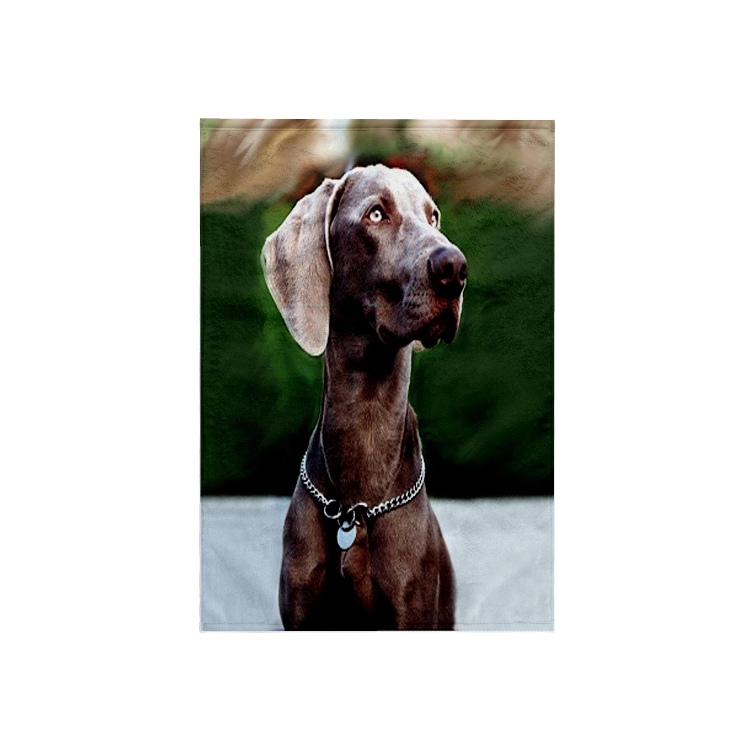 3D Rose Weimaraner Dog Breed Design Hand Towel - 15 x 22 Inches - Soft Absorbent Bath & Kitchen Towel for Pet Lovers - Perfect for Bathroom, Kitchen & Gifts