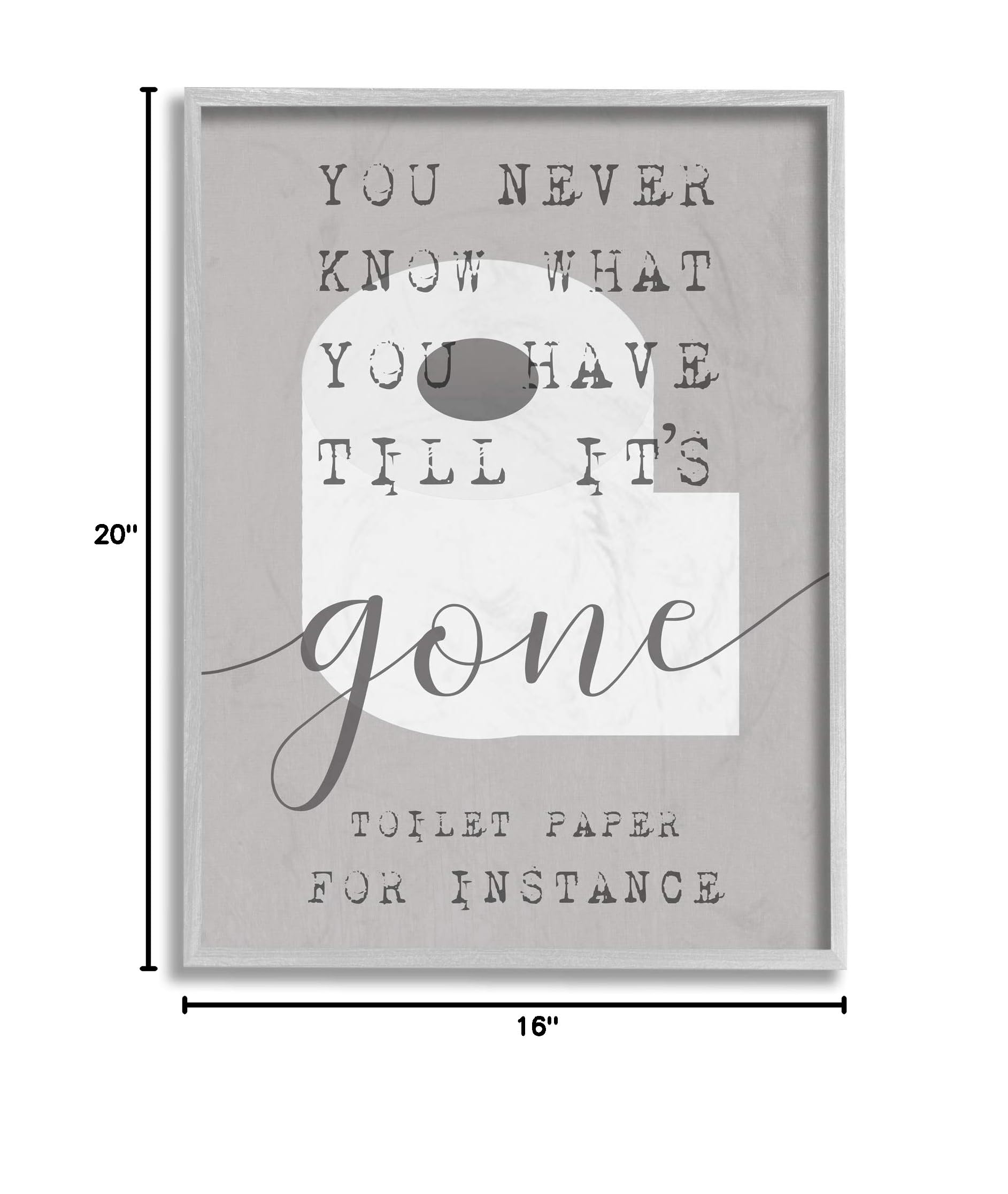 Stupell Industries 'Toilet Paper Till It's Gone' Framed Bathroom Wall Art – Grey 16x20, Designed by Daphne Polselli – Perfect for Bathroom Decor, Home Humor & Gift Ideas