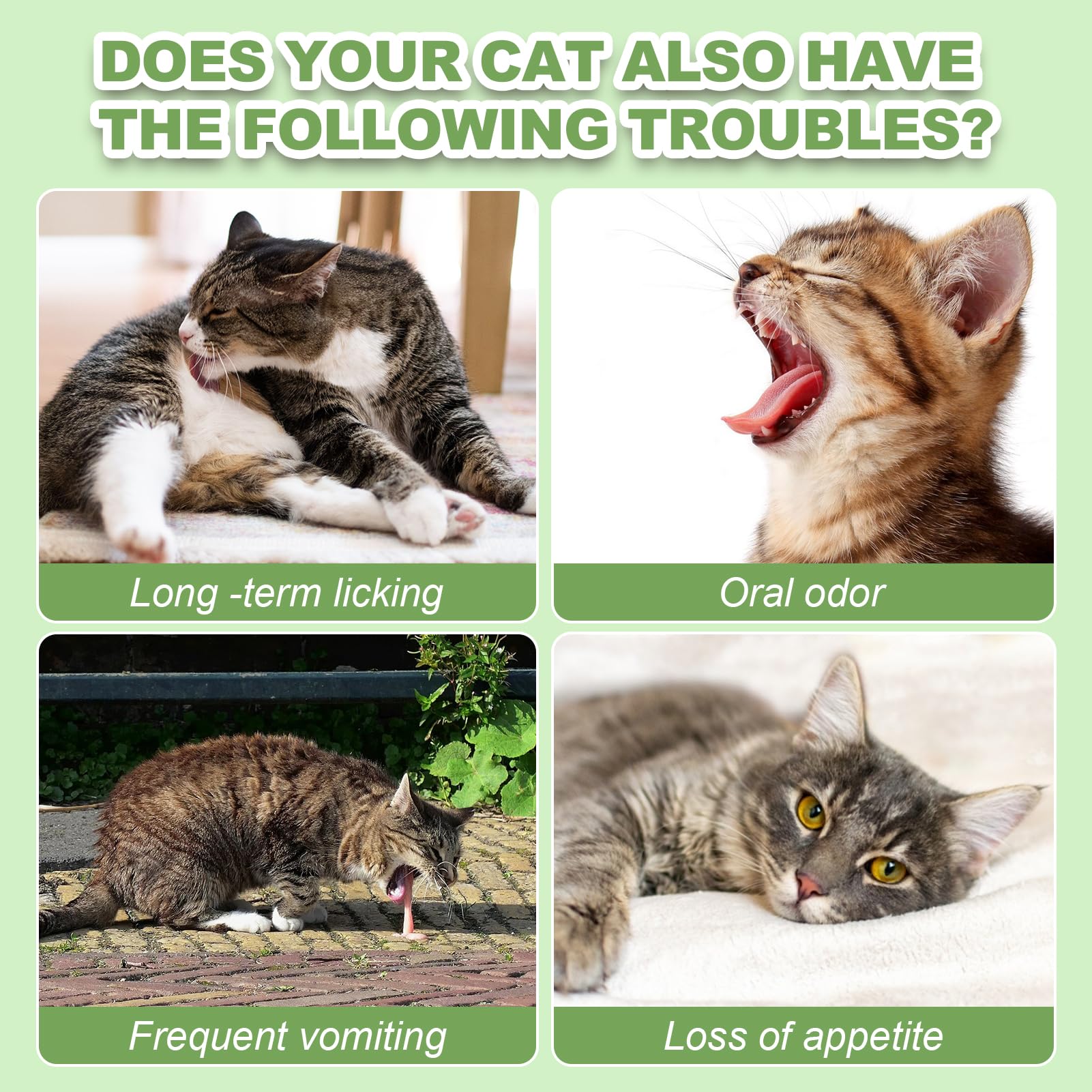 **Freeze Dried Cat Grass Treats for Kittens & Adult Cats - Natural Teething Chew Toy for Teeth Cleaning & Hairball Relief (80g) - Perfect for Indoor Cats & Digestive Health**