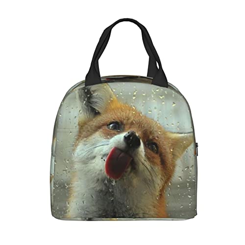 Funny Fox