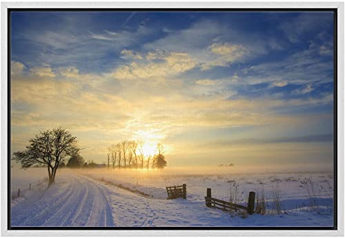 Sunset Landscape